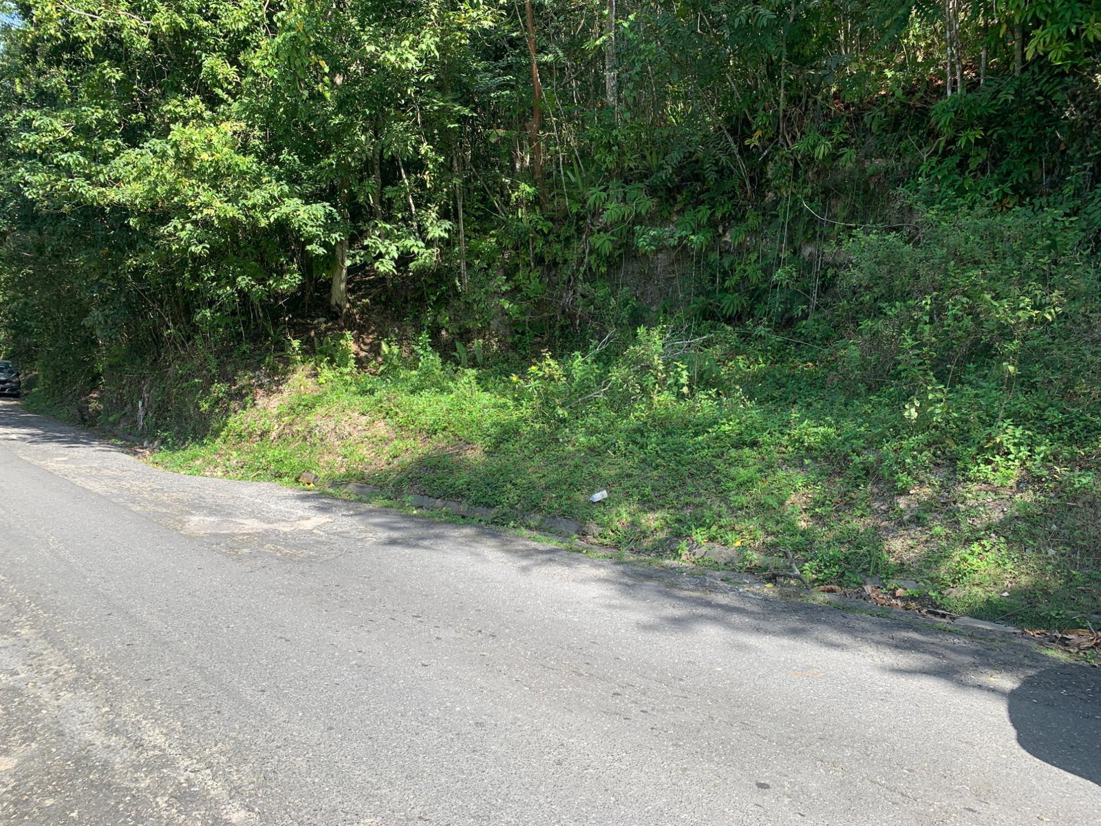 4-Acres-of-Prime-Development-Land-for-Sale-in-Queenhythe-Jamaica Fifteenth image of 186 Queenhythe in Queenhythe, St. Ann, Jamaica - property is For Sale