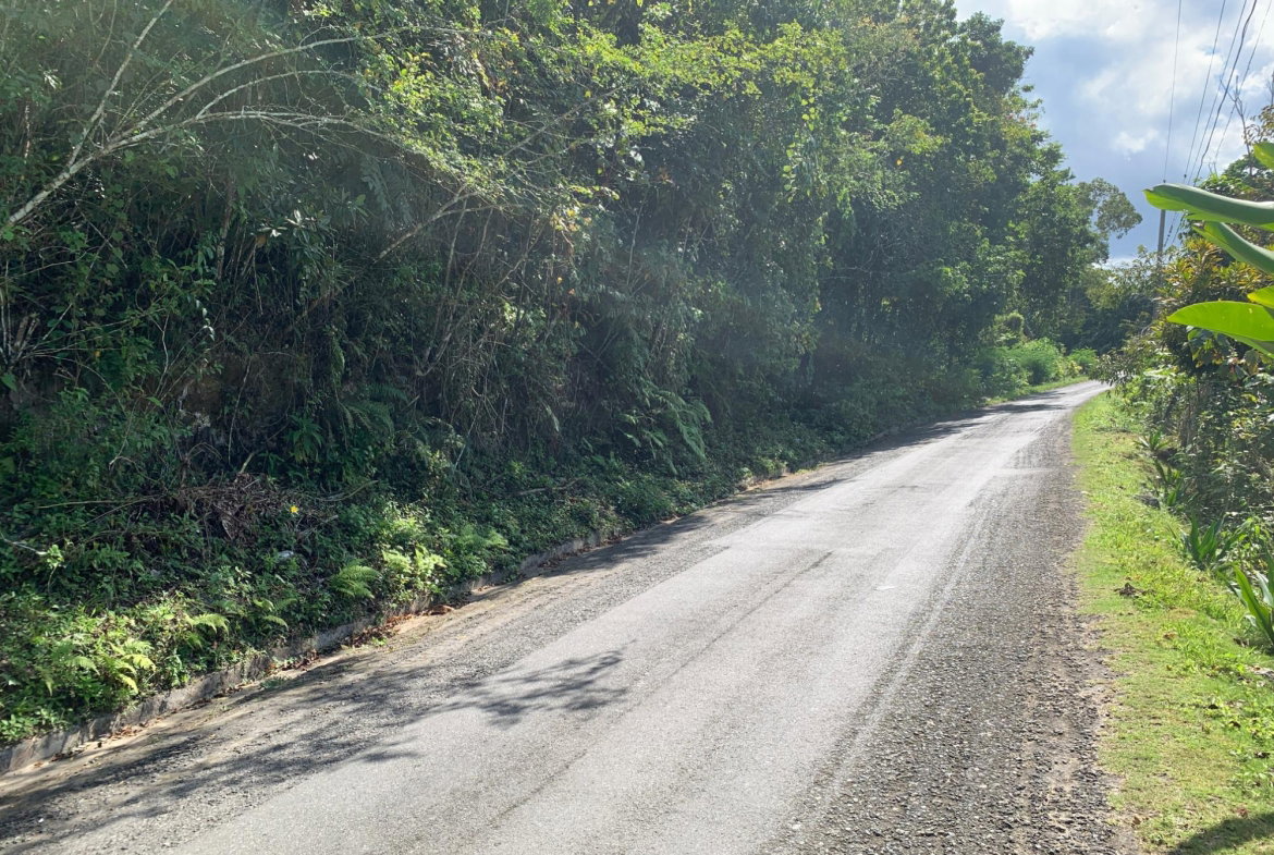 Sixteenth image of 186 Queenhythe in Queenhythe, St. Ann, Jamaica - property is For Sale