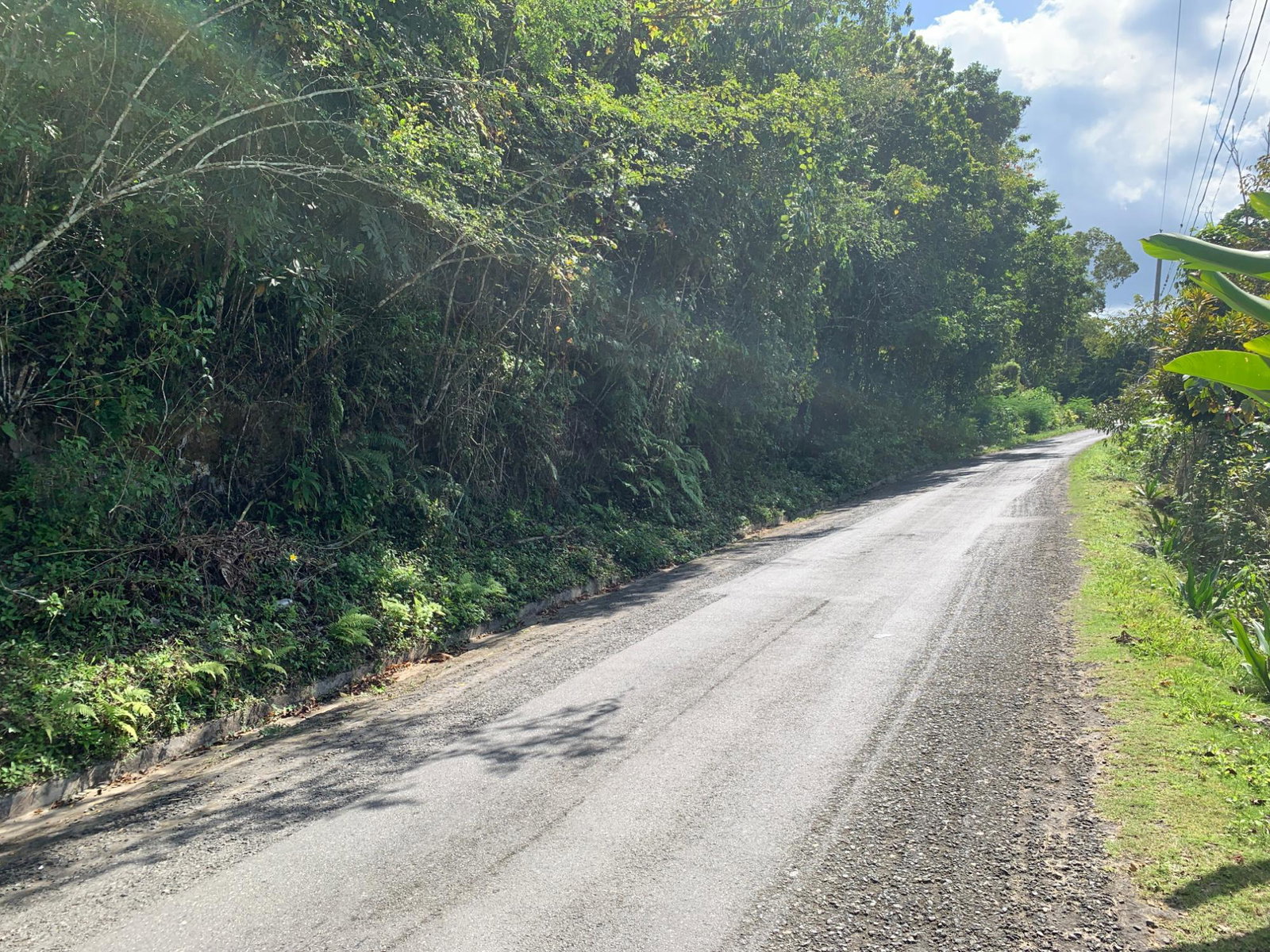 4-Acres-of-Prime-Development-Land-for-Sale-in-Queenhythe-Jamaica Sixteenth image of 186 Queenhythe in Queenhythe, St. Ann, Jamaica - property is For Sale