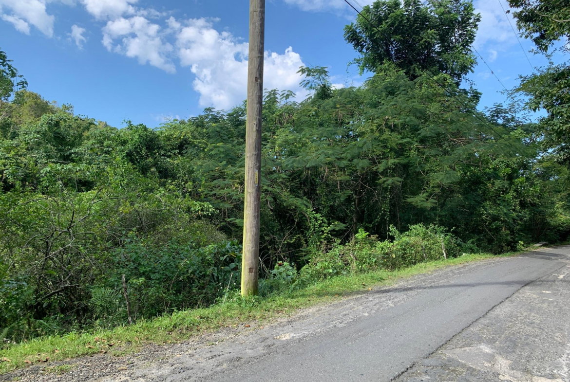 Seventeenth image of 186 Queenhythe in Queenhythe, St. Ann, Jamaica - property is For Sale