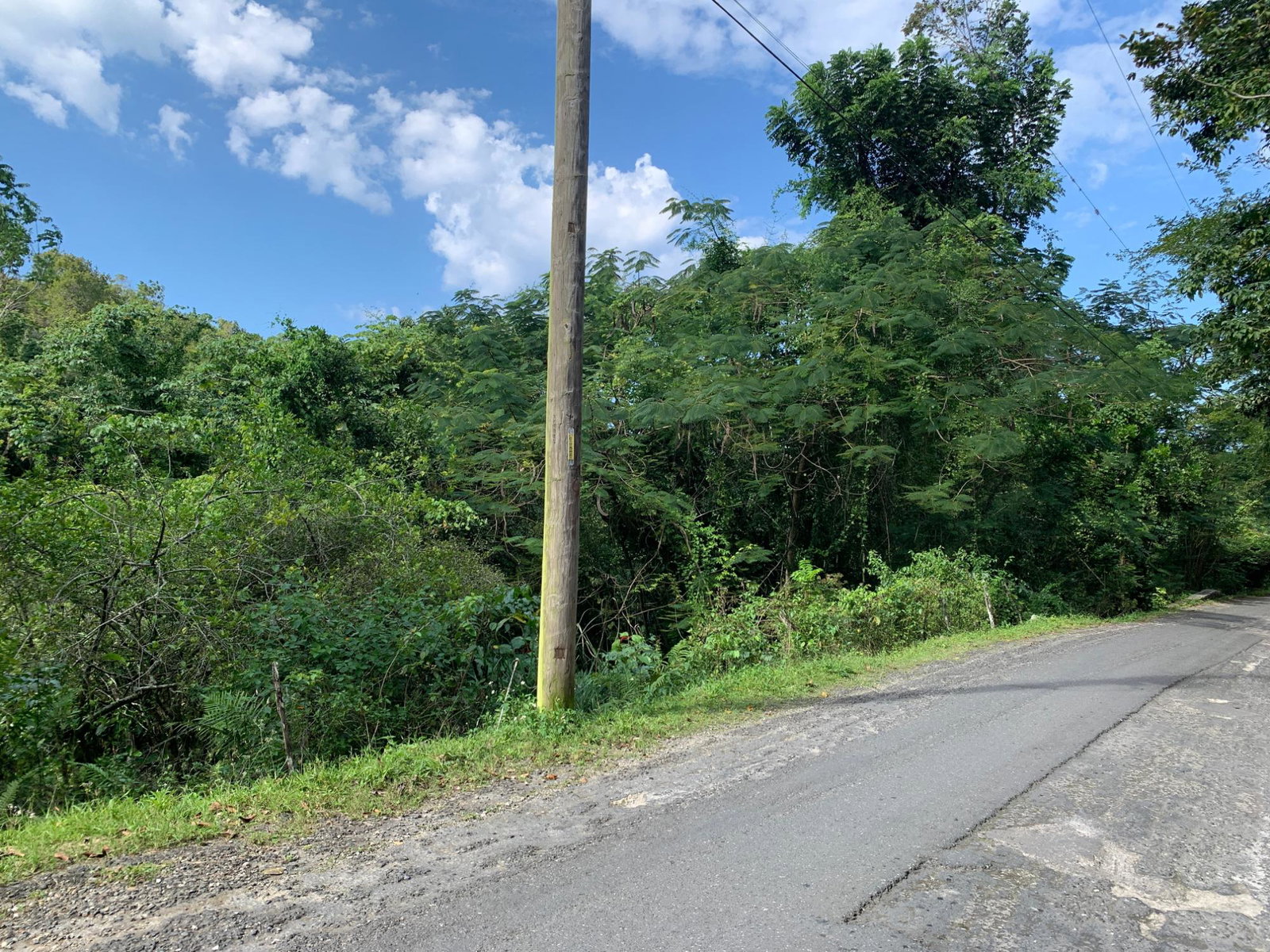 4-Acres-of-Prime-Development-Land-for-Sale-in-Queenhythe-Jamaica Seventeenth image of 186 Queenhythe in Queenhythe, St. Ann, Jamaica - property is For Sale