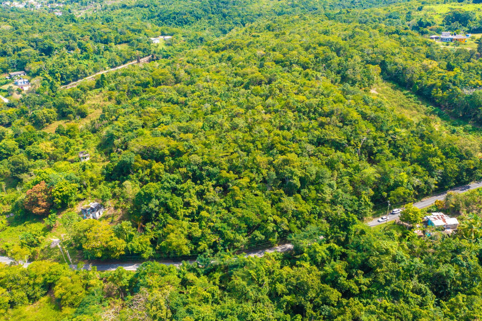4-Acres-of-Prime-Development-Land-for-Sale-in-Queenhythe-Jamaica Ninth image of 186 Queenhythe in Queenhythe, St. Ann, Jamaica - property is For Sale