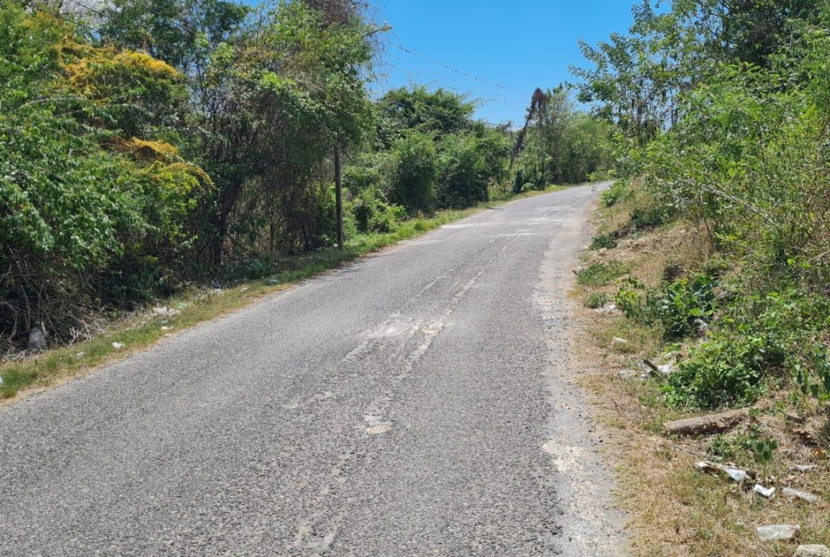 First image of Lower Works Pen, Exchange in Black River, St. Elizabeth, Jamaica - property is For Sale