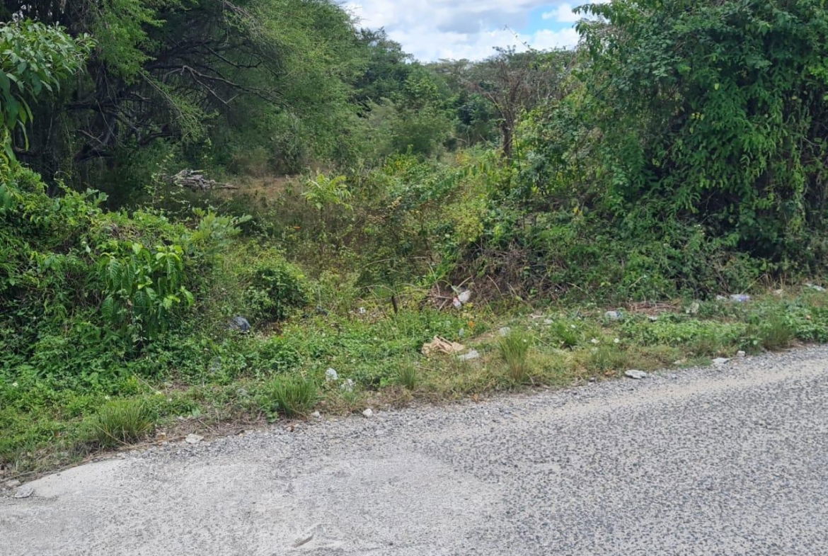 Third image of Lower Works Pen, Exchange in Black River, St. Elizabeth, Jamaica - property is For Sale