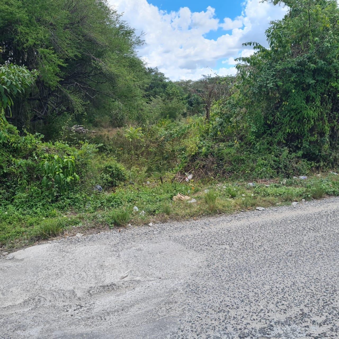 Third image of Lower Works Pen, Exchange in Black River, St. Elizabeth, Jamaica - property is For Sale