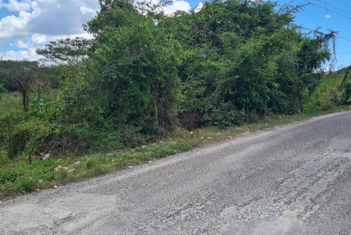 Fourth image of Lower Works Pen, Exchange in Black River, St. Elizabeth, Jamaica - property is For Sale