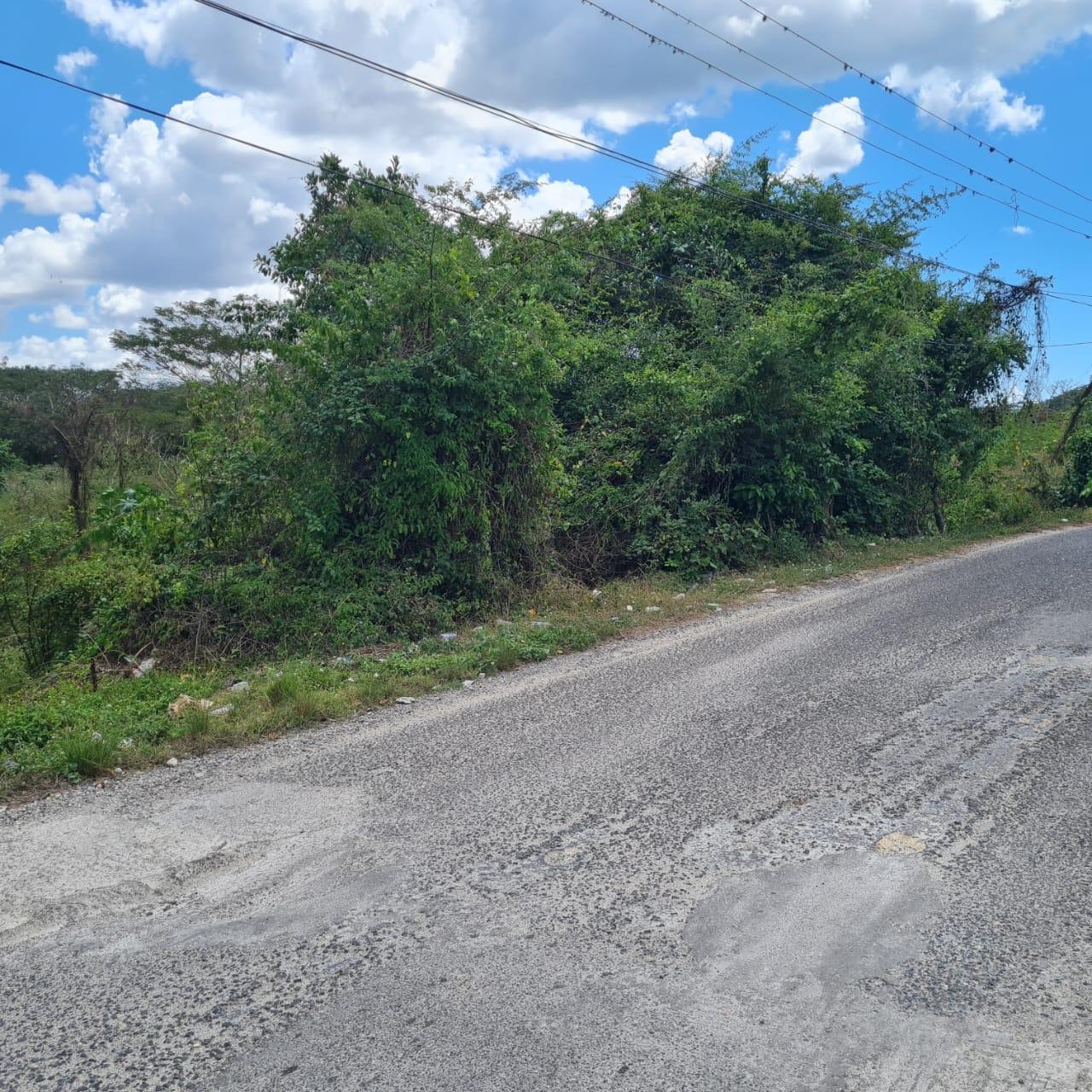 Fourth image of Lower Works Pen, Exchange in Black River, St. Elizabeth, Jamaica - property is For Sale