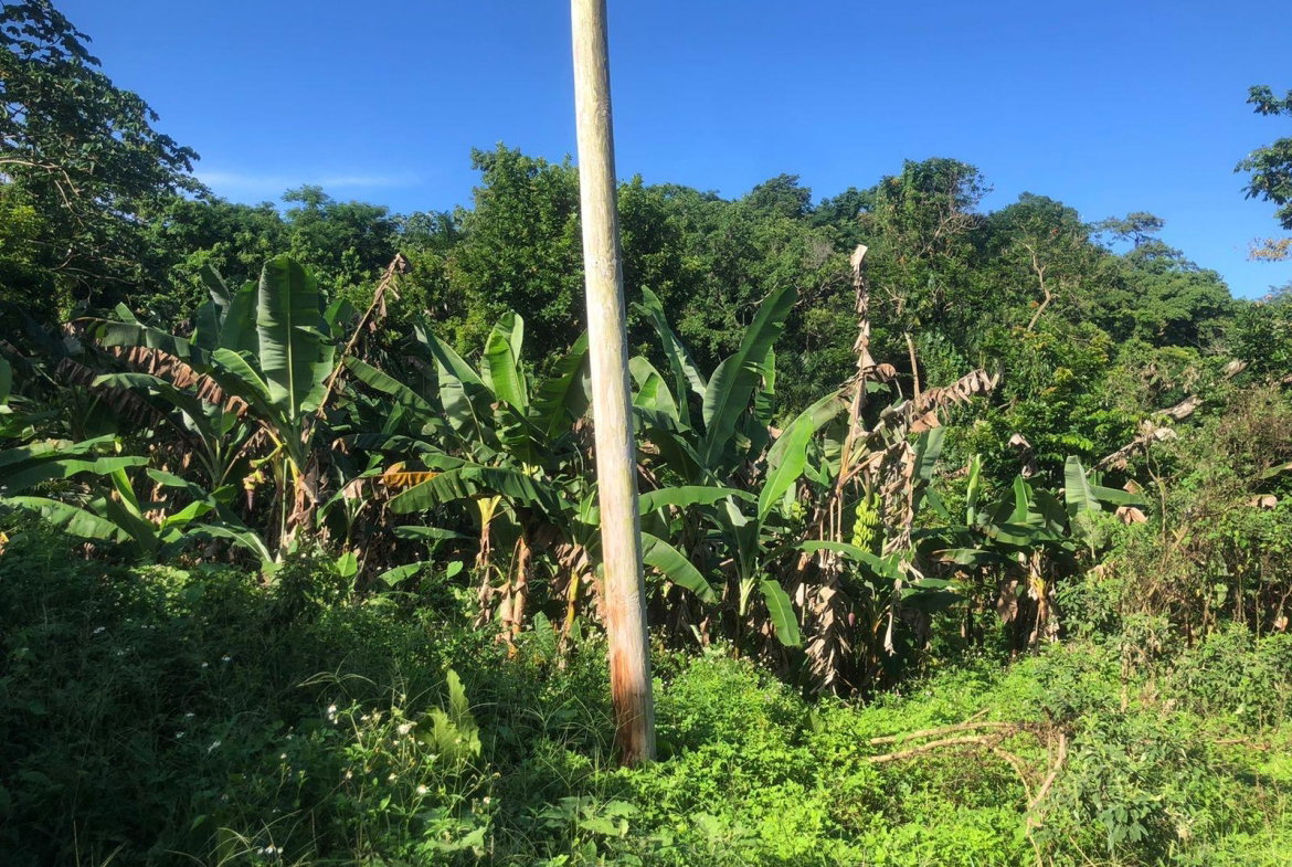 Second image of Hopewell in Kensington, Portland, Jamaica - property is For Sale