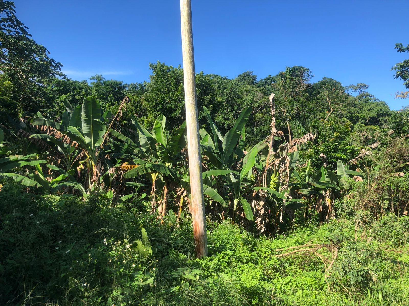 Second image of Hopewell in Kensington, Portland, Jamaica - property is For Sale