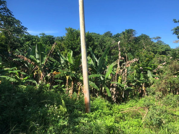 Second image of Hopewell in Kensington, Portland, Jamaica - property is For Sale