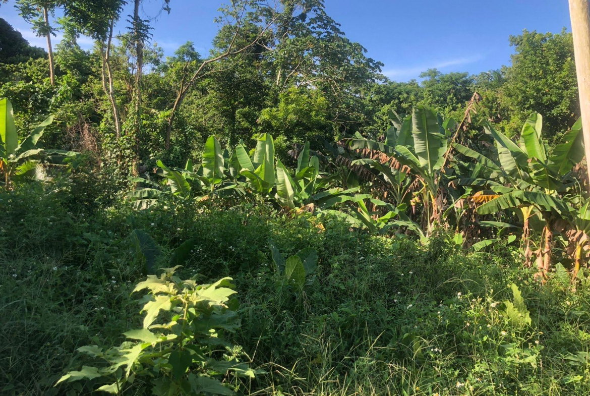 Third image of Hopewell in Kensington, Portland, Jamaica - property is For Sale