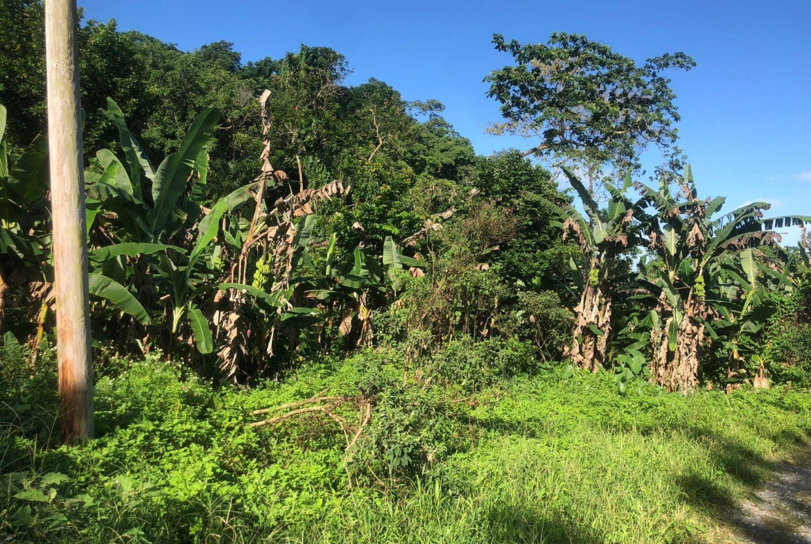 Fourth image of Hopewell in Kensington, Portland, Jamaica - property is For Sale