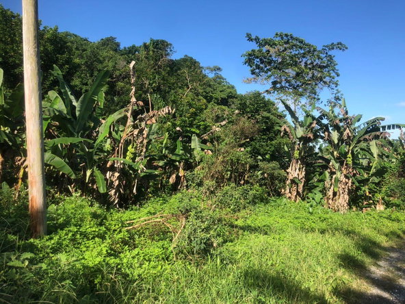 Fourth image of Hopewell in Kensington, Portland, Jamaica - property is For Sale