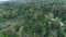 First image of Elmwood Estate in Long Bay, Portland, Jamaica - property is For Sale