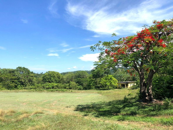 Tenth image of 39- Mahogany Hill Homes in Chester, St. Ann, Jamaica - property is For Sale
