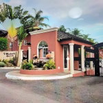 First image of D-102-3 st Michaels Terrace in Kingston 6, St. Andrew, Jamaica - property is For Rent