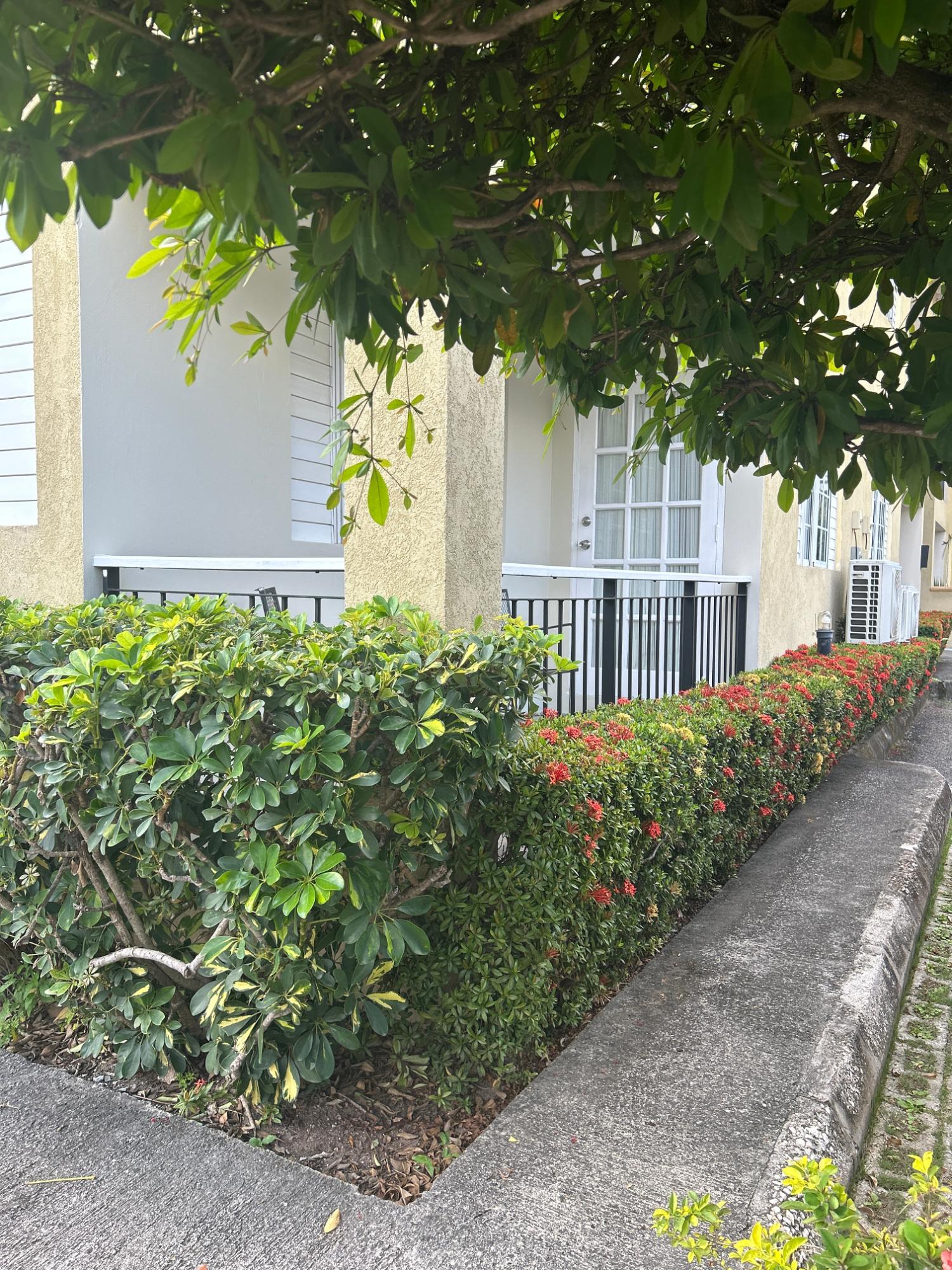 Twenty-Third image of 12-31 Wellington Drive in Kingston 6, St. Andrew, Jamaica - property is For Rent