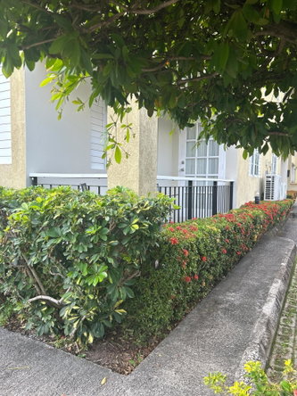 Twenty-Third image of 12-31 Wellington Drive in Kingston 6, St. Andrew, Jamaica - property is For Rent