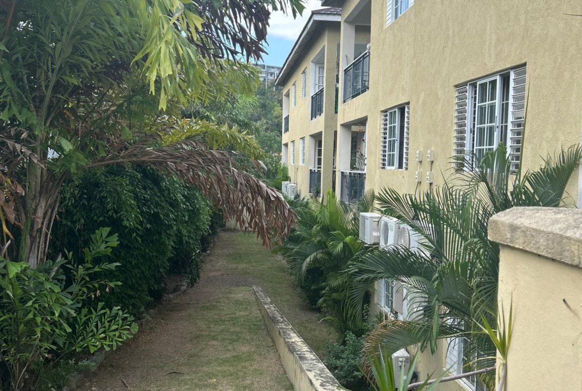 Twenty-Fourth image of 12-31 Wellington Drive in Kingston 6, St. Andrew, Jamaica - property is For Rent