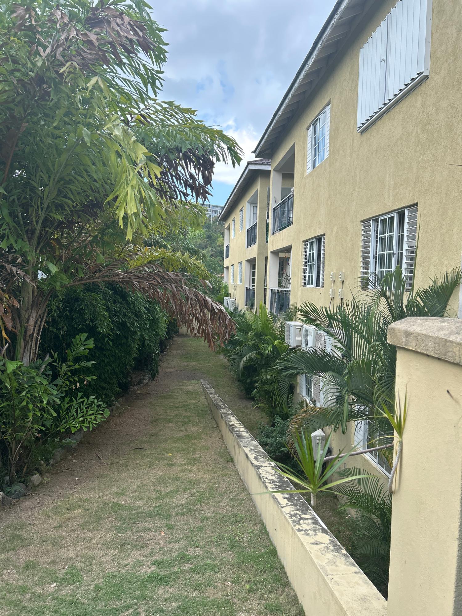 Twenty-Fourth image of 12-31 Wellington Drive in Kingston 6, St. Andrew, Jamaica - property is For Rent