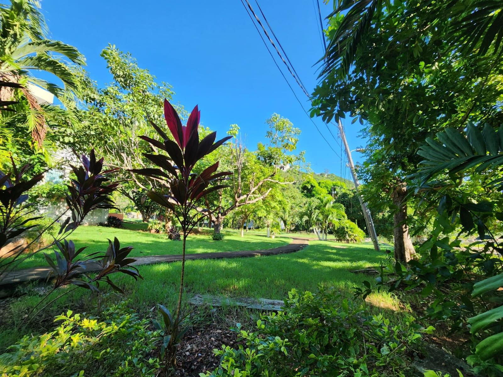 Charming-1-Bedroom-Apartment-for-Sale-in-Upper-St.-Andrew-Kingston Twelfth image of Apt.106-9a Mayfair Avenue, Kingston in Kingston 19, St. Andrew, Jamaica - property is For Sale