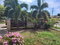 First image of 44 Mocha Avenue in New Harbour Village, St. Catherine, Jamaica - property is For Rent