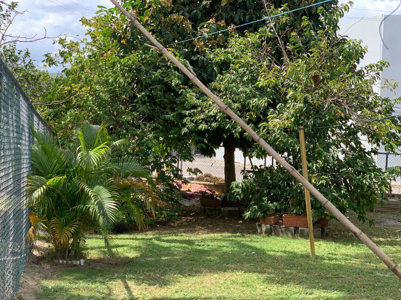 Twentieth image of Apt #1-681 Tide Place, Bogue Village in Montego Bay, St. James, Jamaica - property is For Rent