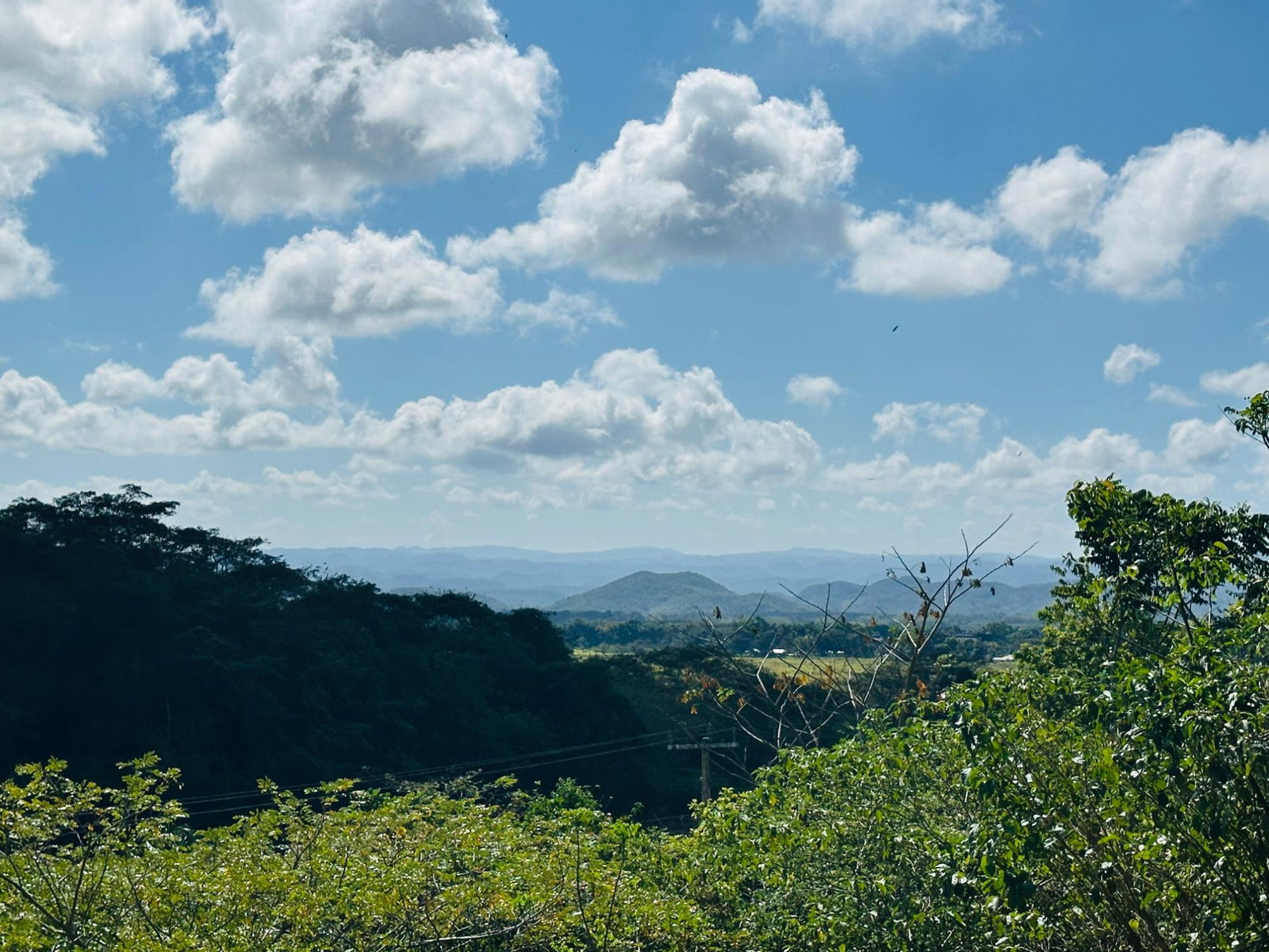 Eleventh image of Chatham in Chatham, St. James, Jamaica - property is For Sale
