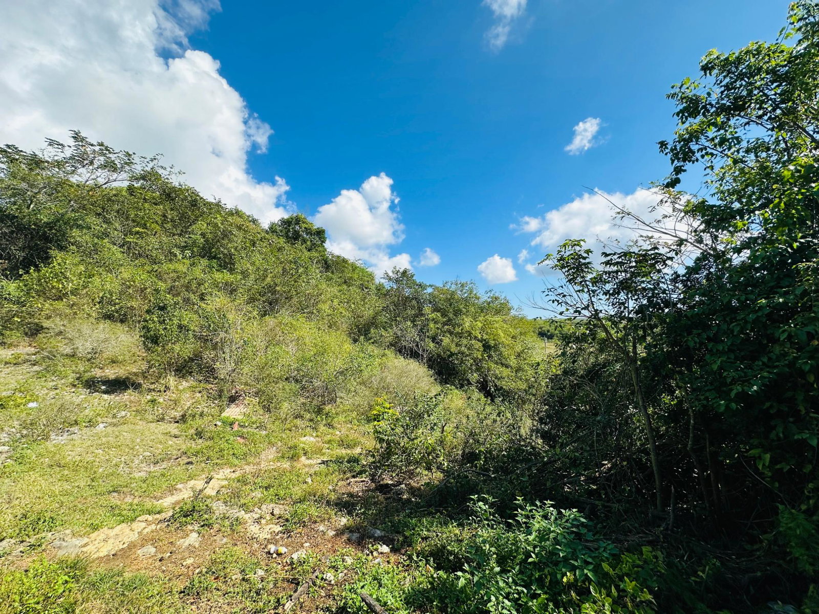 Twelfth image of Chatham in Chatham, St. James, Jamaica - property is For Sale