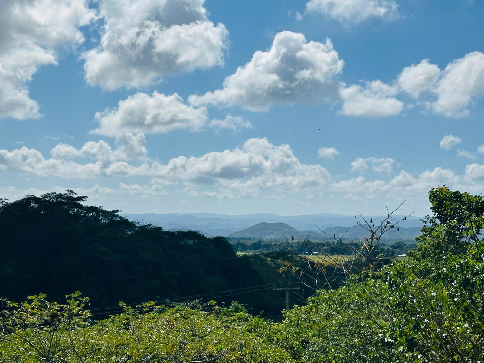 Thirteenth image of Chatham in Chatham, St. James, Jamaica - property is For Sale