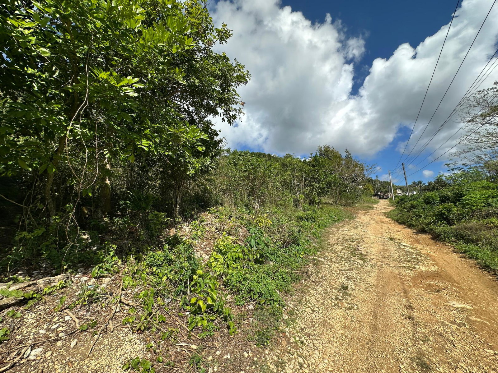 Fourteenth image of Chatham in Chatham, St. James, Jamaica - property is For Sale