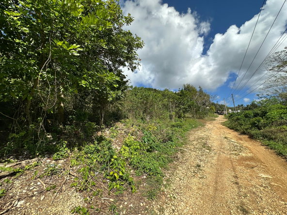Fourteenth image of Chatham in Chatham, St. James, Jamaica - property is For Sale