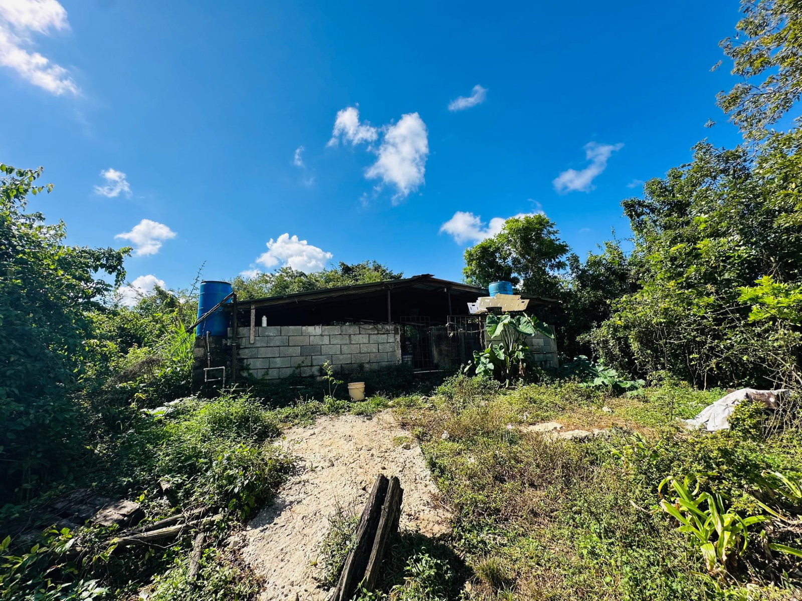 Fourth image of Chatham in Chatham, St. James, Jamaica - property is For Sale
