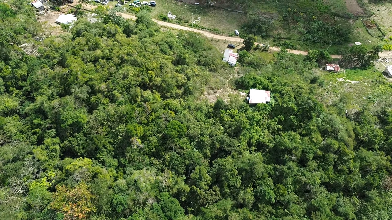 Sixth image of Chatham in Chatham, St. James, Jamaica - property is For Sale