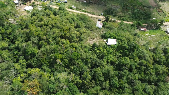 Sixth image of Chatham in Chatham, St. James, Jamaica - property is For Sale