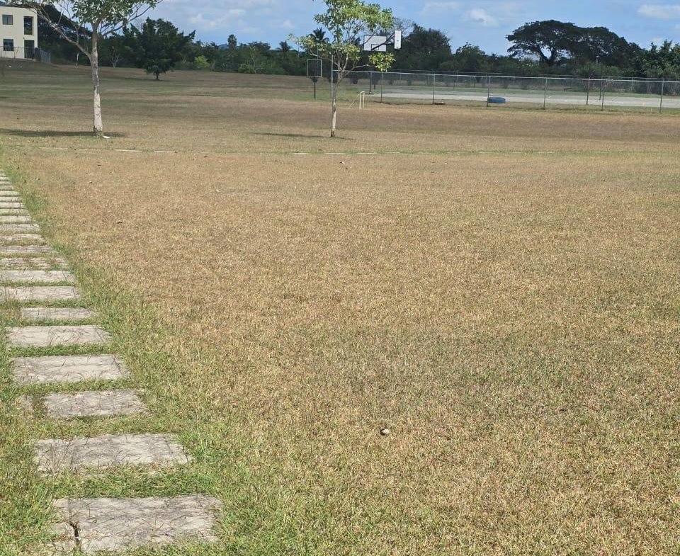 Twenty-Fourth image of Lot 327- Jacaranda Homes in JACARANDA (U/C), St. Catherine, Jamaica - property is For Rent