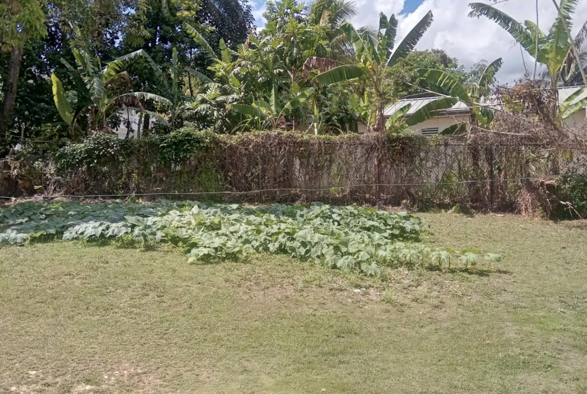 Seventh image of Fred Duhaney Drive in CHAPELTON, Clarendon, Jamaica - property is For Sale