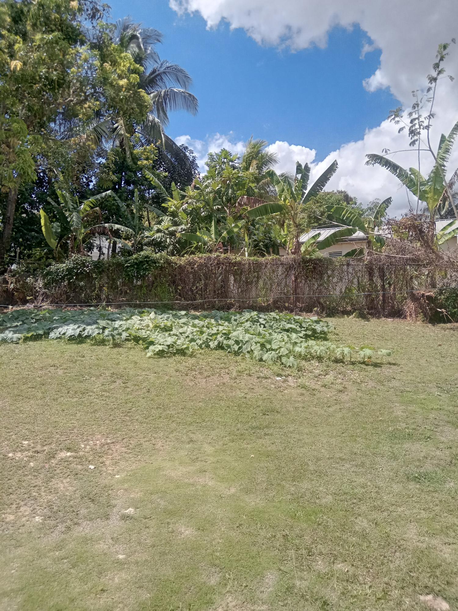 Charming-2-Bedroom-Home-for-Sale-in-Chapelton-Clarendon Seventh image of Fred Duhaney Drive in CHAPELTON, Clarendon, Jamaica - property is For Sale