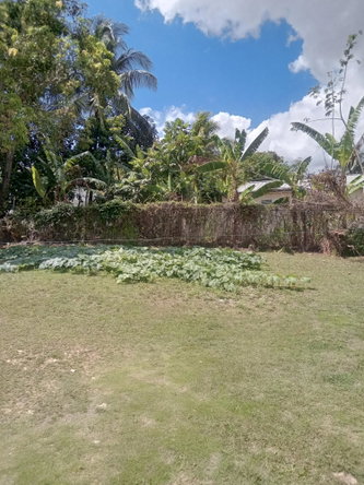 Seventh image of Fred Duhaney Drive in CHAPELTON, Clarendon, Jamaica - property is For Sale