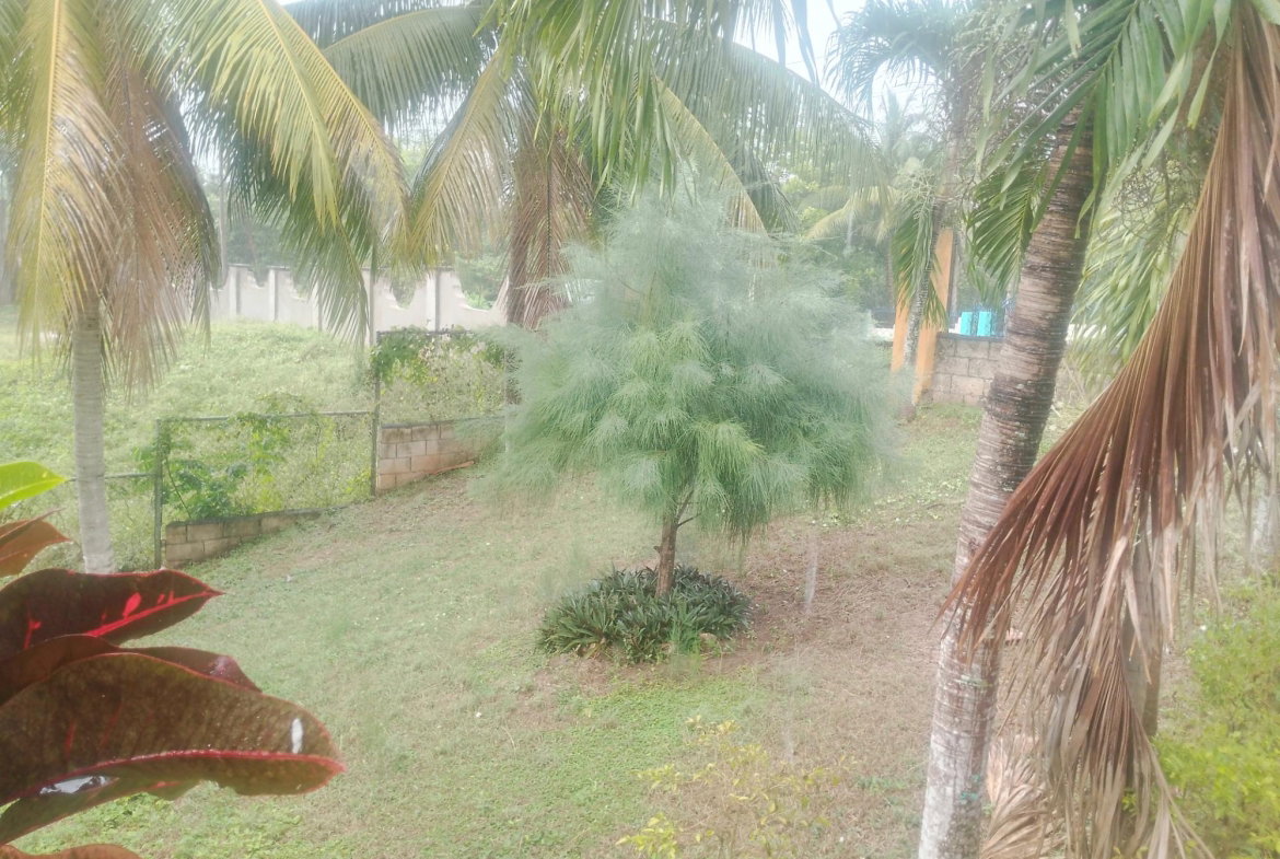 Seventh image of 5 Bannister Housing Develop in Old Harbour, St. Catherine, Jamaica - property is For Rent
