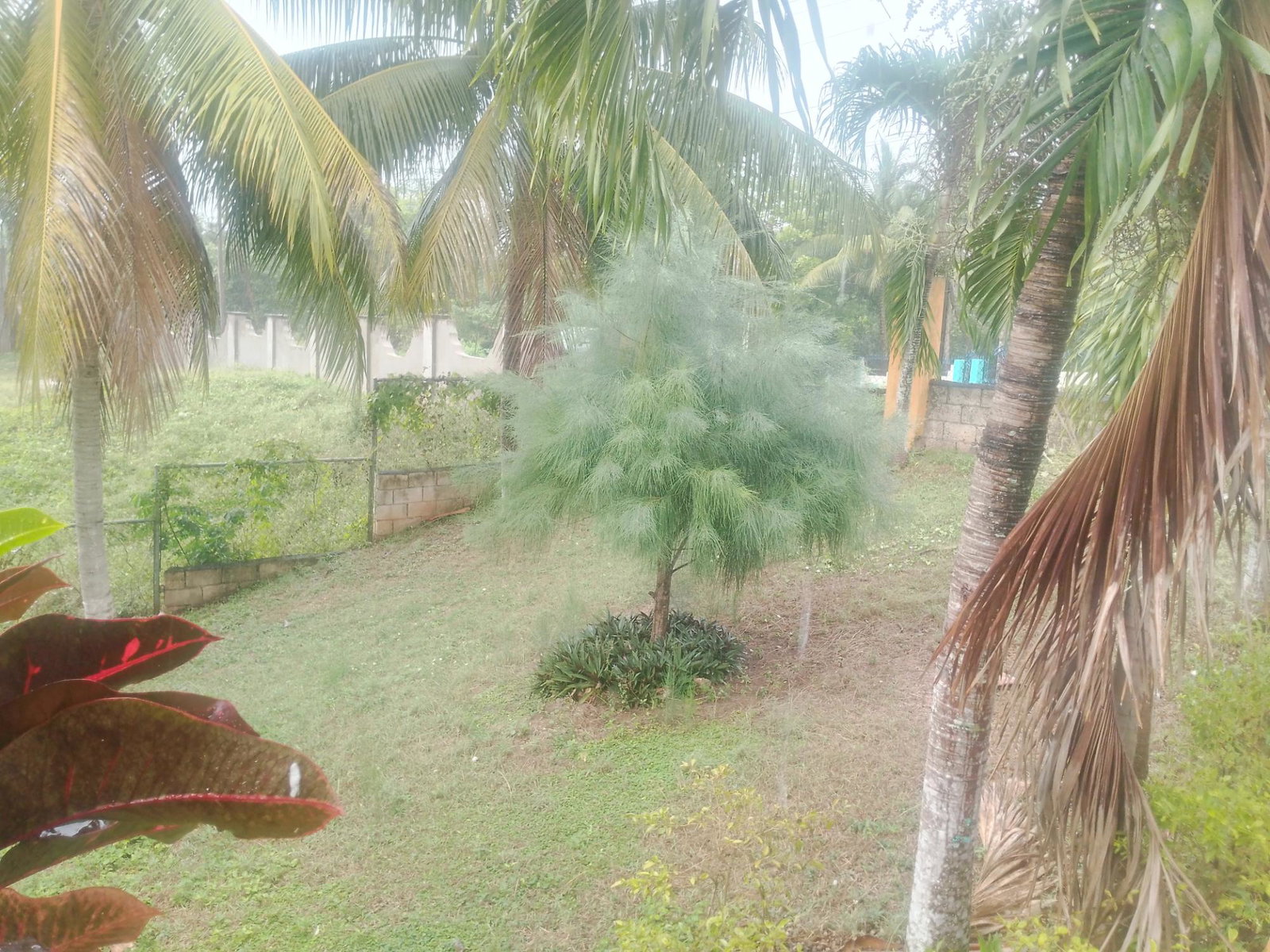 Seventh image of 5 Bannister Housing Develop in Old Harbour, St. Catherine, Jamaica - property is For Rent