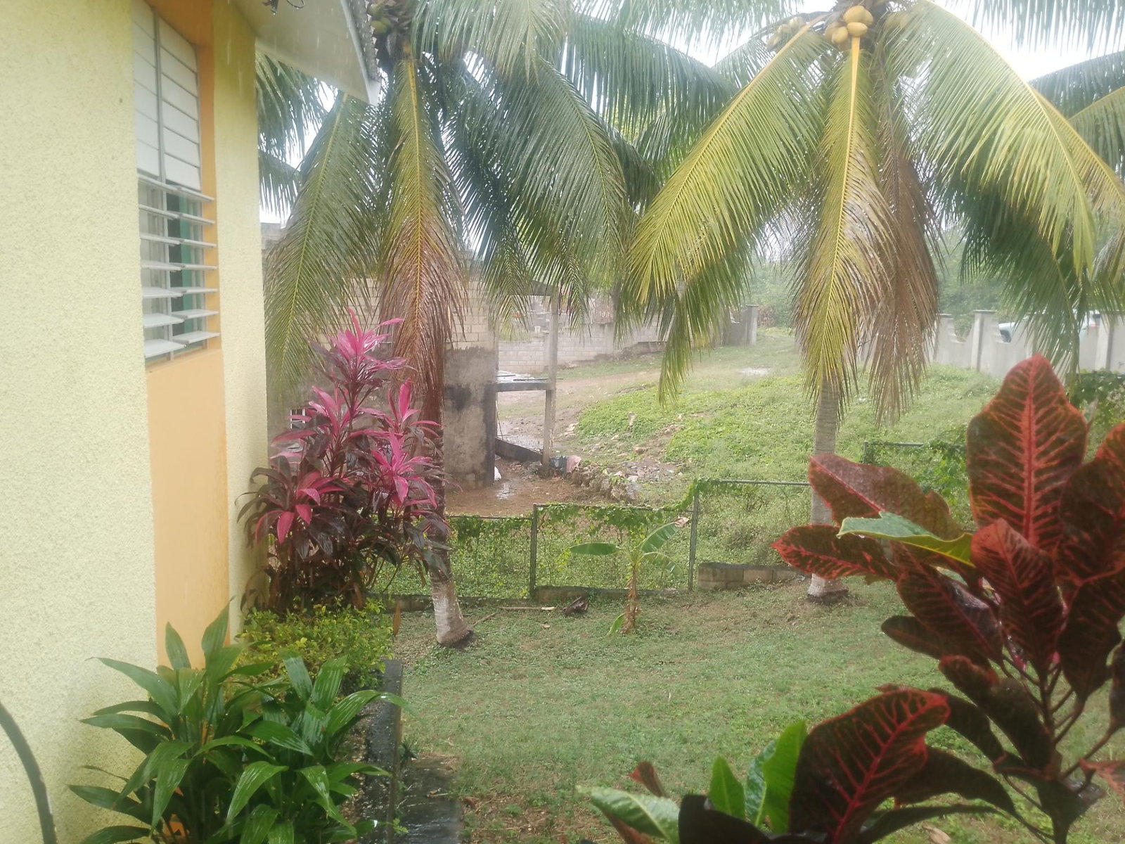 Eighth image of 5 Bannister Housing Develop in Old Harbour, St. Catherine, Jamaica - property is For Rent