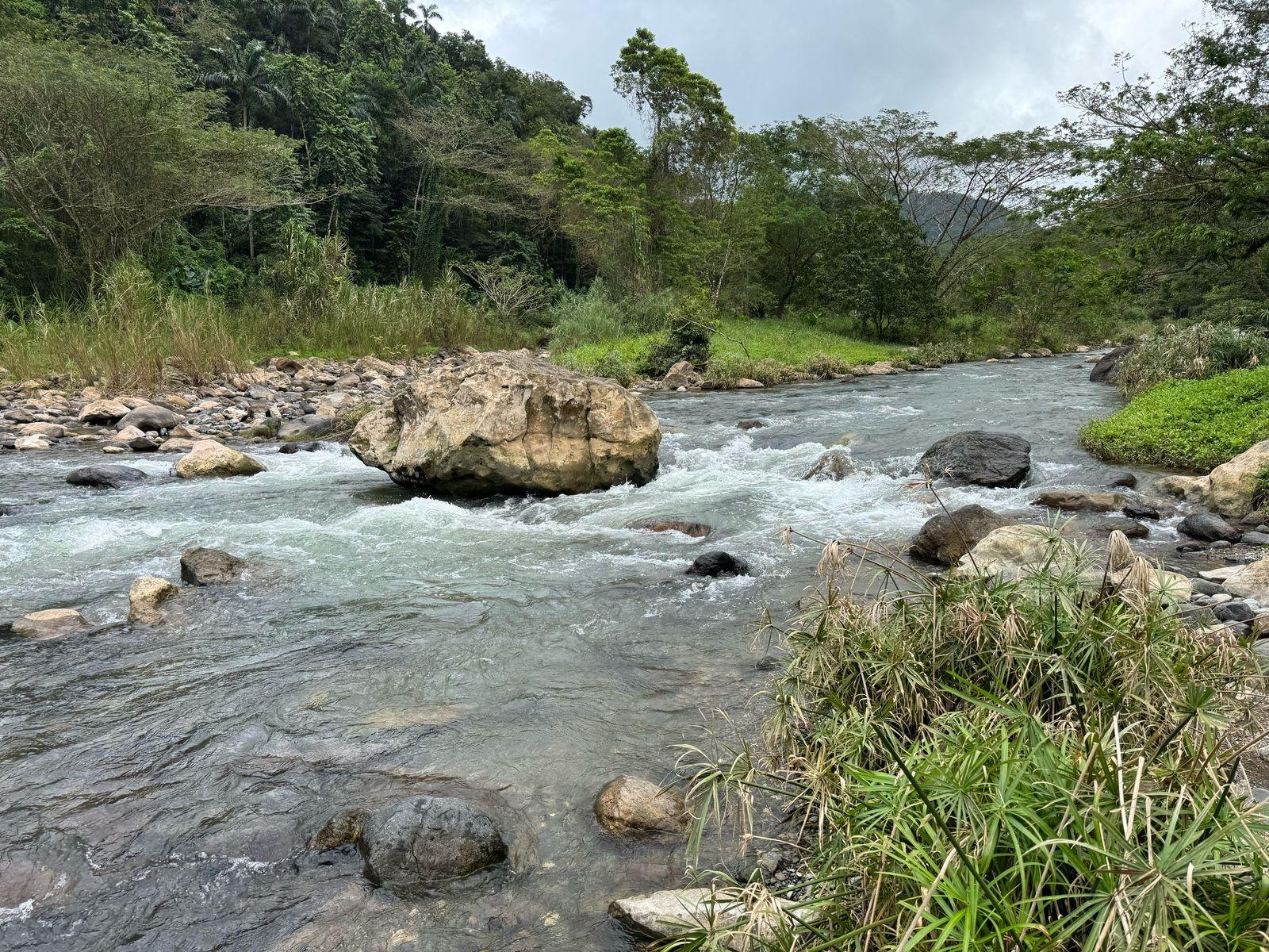 Twelfth image of Skibo Portland in Spring Garden, Portland, Jamaica - property is For Sale