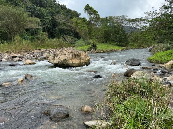 Twelfth image of Skibo Portland in Spring Garden, Portland, Jamaica - property is For Sale