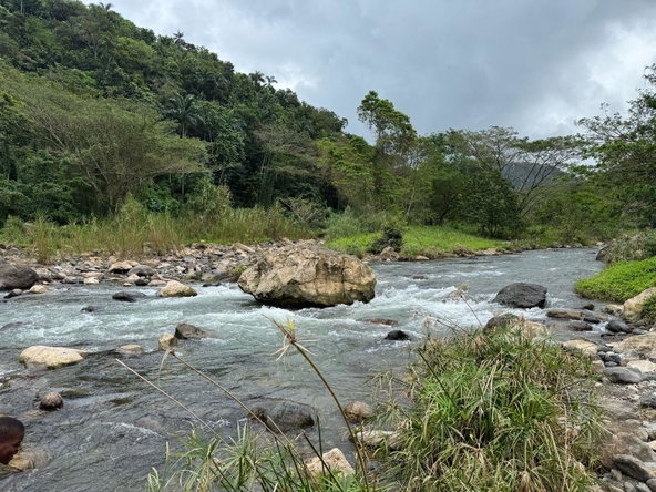 Thirteenth image of Skibo Portland in Spring Garden, Portland, Jamaica - property is For Sale