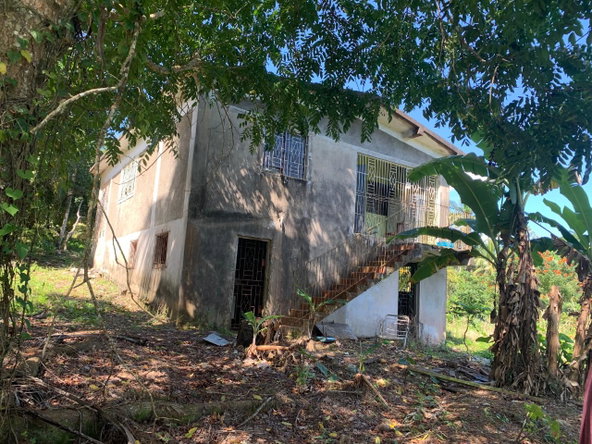 Second image of Hartland Road, Decoy in Guys Hill, St. Mary, Jamaica - property is For Sale