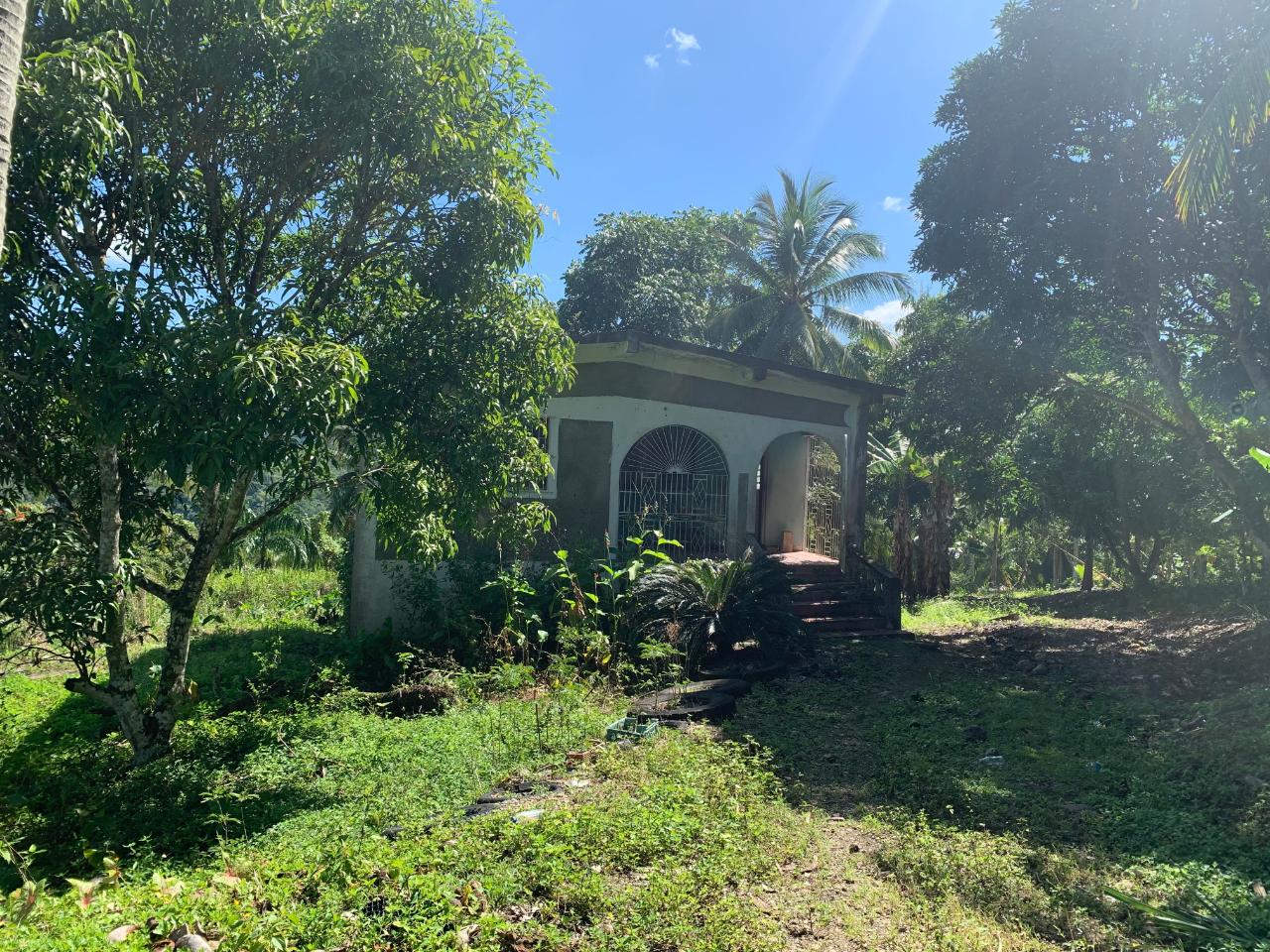 Third image of Hartland Road, Decoy in Guys Hill, St. Mary, Jamaica - property is For Sale