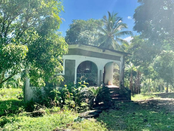 First image of Hartland Road, Decoy in Guys Hill, St. Mary, Jamaica - property is For Sale