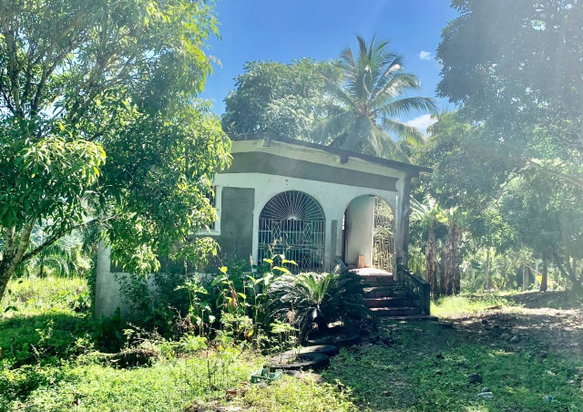 First image of Hartland Road, Decoy in Guys Hill, St. Mary, Jamaica - property is For Sale