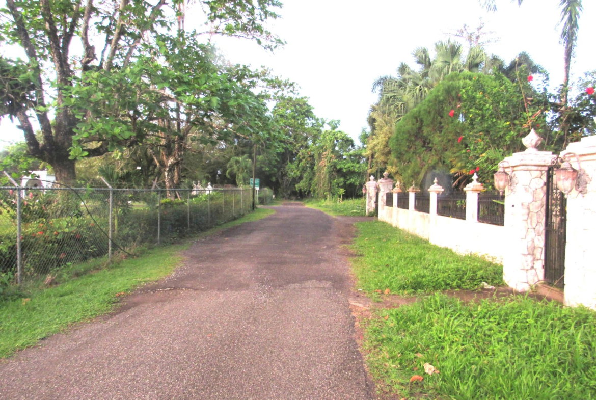 Sixth image of 7 Burlington Estate in St. Margaret's Bay, Portland, Jamaica - property is For Rent